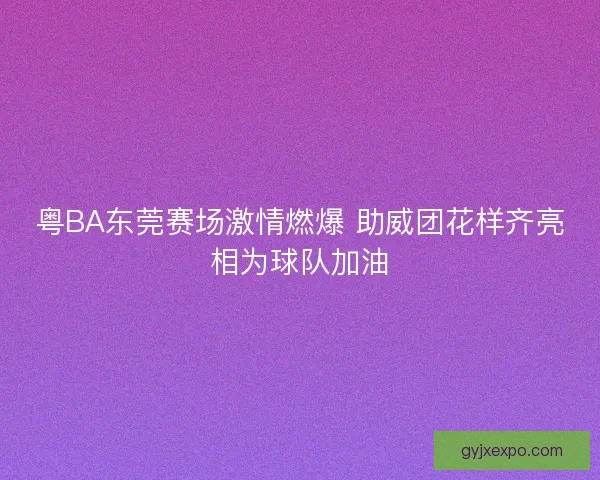 粤BA东莞赛场激情燃爆 助威团花样齐亮相为球队加油